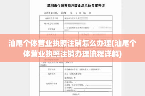 汕尾个体营业执照注销怎么办理(汕尾个体营业执照注销办理流程详解)