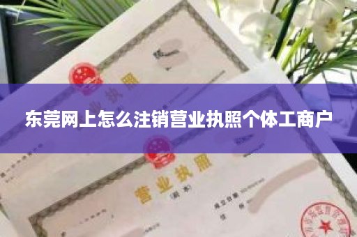 东莞网上怎么注销营业执照个体工商户