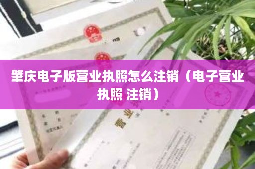 肇庆电子版营业执照怎么注销（电子营业执照 注销）