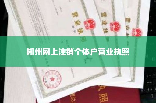 郴州网上注销个体户营业执照