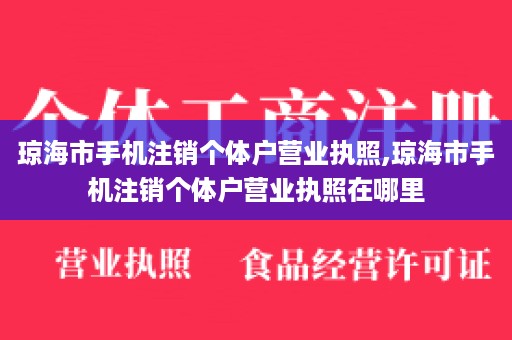 琼海市手机注销个体户营业执照,琼海市手机注销个体户营业执照在哪里