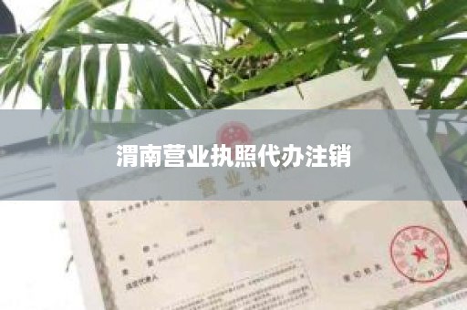 渭南营业执照代办注销