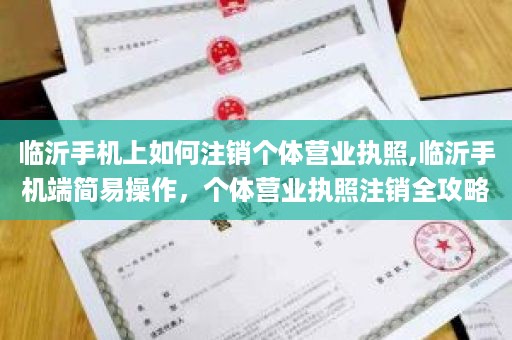 临沂手机上如何注销个体营业执照,临沂手机端简易操作，个体营业执照注销全攻略