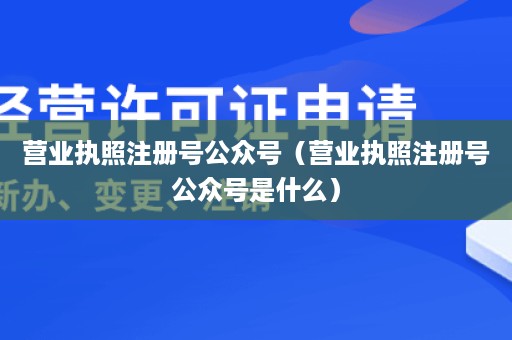 营业执照注册号公众号（营业执照注册号公众号是什么）