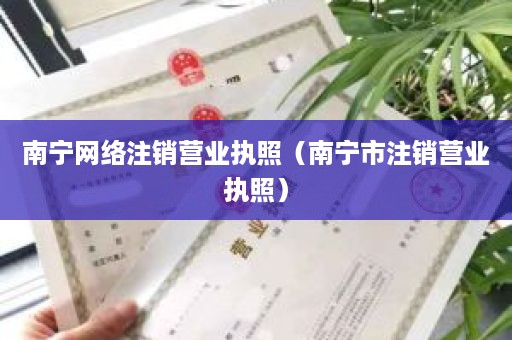 南宁网络注销营业执照（南宁市注销营业执照）