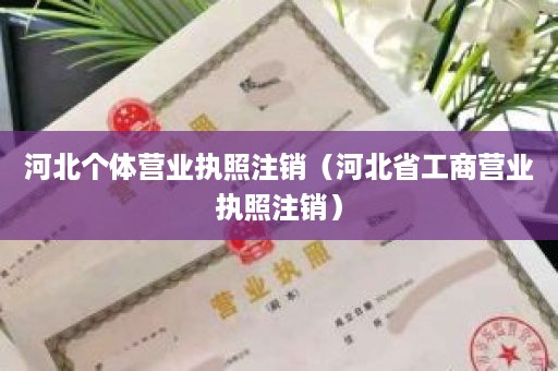 河北个体营业执照注销（河北省工商营业执照注销）