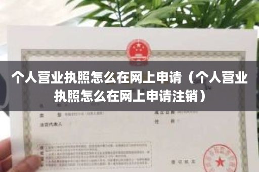 个人营业执照怎么在网上申请（个人营业执照怎么在网上申请注销）