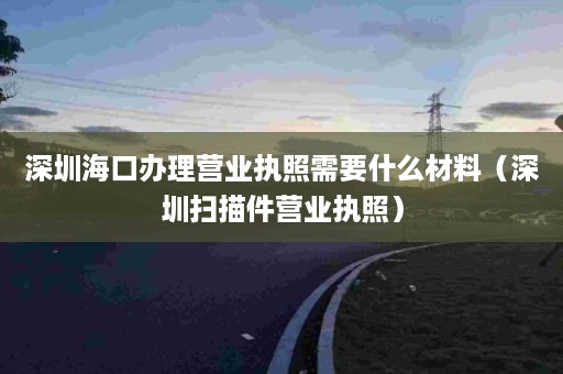 深圳海口办理营业执照需要什么材料（深圳扫描件营业执照）