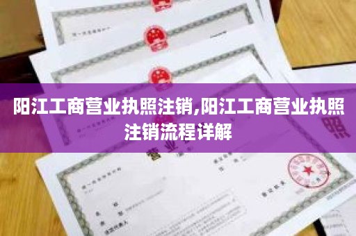 阳江工商营业执照注销,阳江工商营业执照注销流程详解