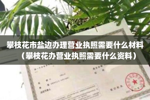 攀枝花市盐边办理营业执照需要什么材料（攀枝花办营业执照需要什么资料）