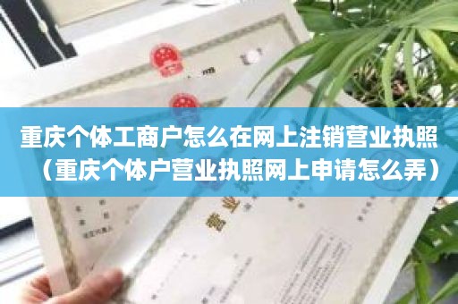 重庆个体工商户怎么在网上注销营业执照（重庆个体户营业执照网上申请怎么弄）