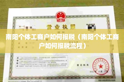 南阳个体工商户如何报税（南阳个体工商户如何报税流程）