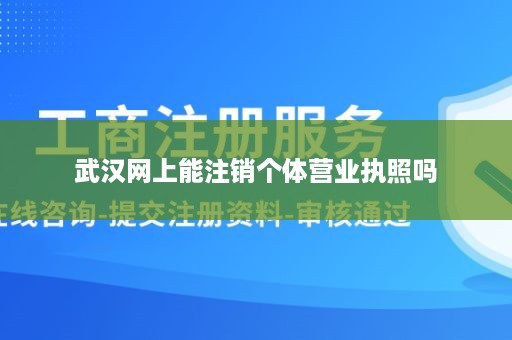 武汉网上能注销个体营业执照吗