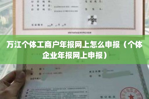 万江个体工商户年报网上怎么申报（个体企业年报网上申报）