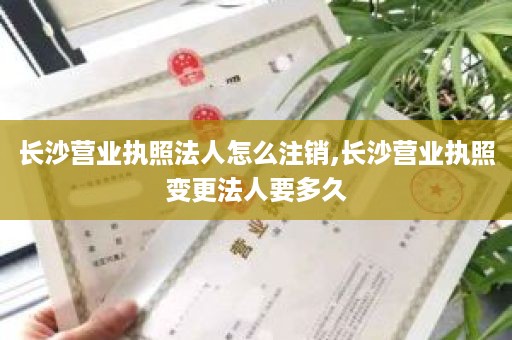 长沙营业执照法人怎么注销,长沙营业执照变更法人要多久