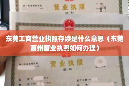 东莞工商营业执照存续是什么意思（东莞高州营业执照如何办理）