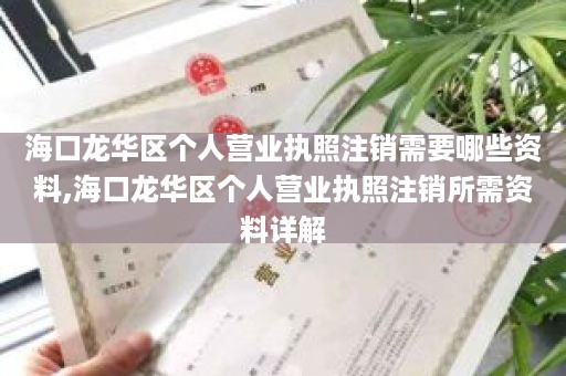 海口龙华区个人营业执照注销需要哪些资料,海口龙华区个人营业执照注销所需资料详解