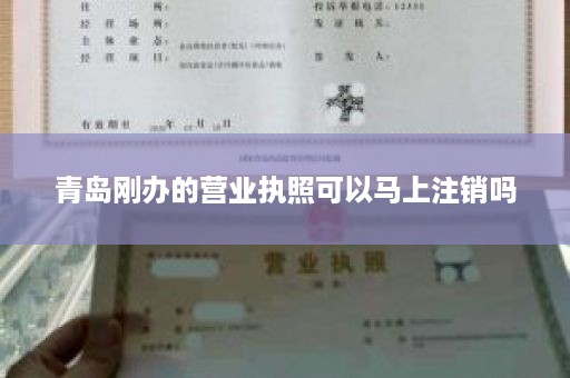 青岛刚办的营业执照可以马上注销吗