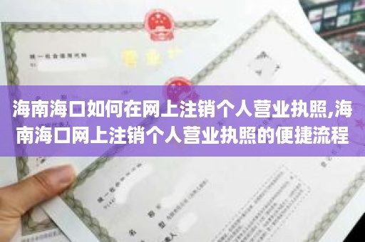 海南海口如何在网上注销个人营业执照,海南海口网上注销个人营业执照的便捷流程