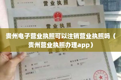 贵州电子营业执照可以注销营业执照吗（贵州营业执照办理app）