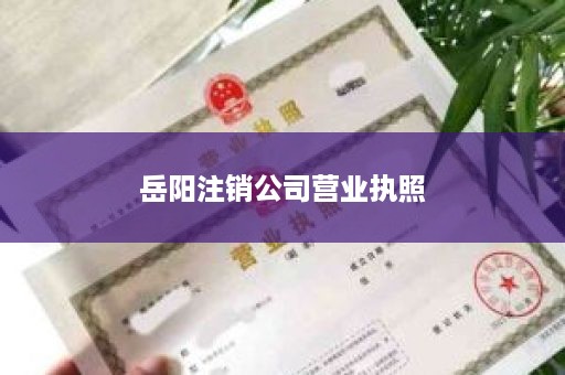 岳阳注销公司营业执照