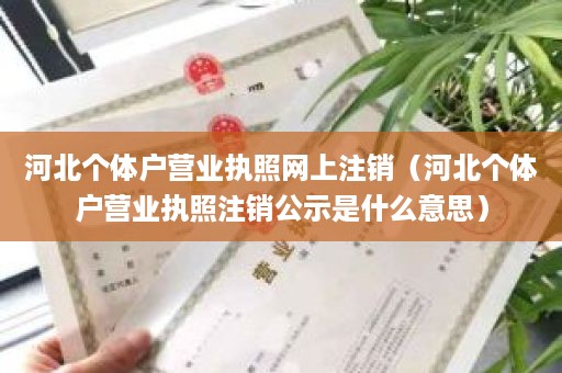 河北个体户营业执照网上注销（河北个体户营业执照注销公示是什么意思）