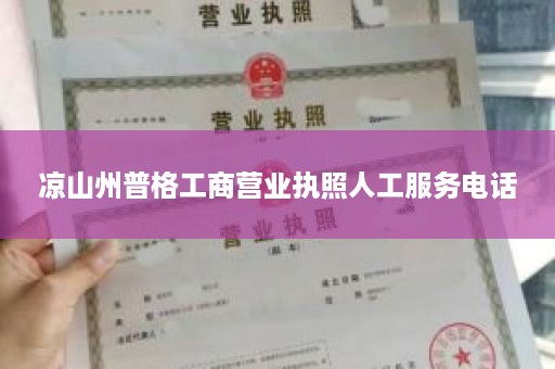 凉山州普格工商营业执照人工服务电话