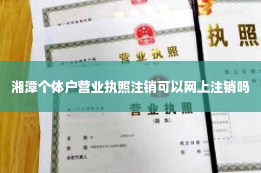 湘潭个体户营业执照注销可以网上注销吗