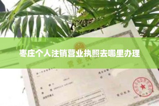 枣庄个人注销营业执照去哪里办理