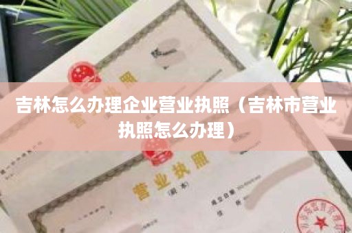 吉林怎么办理企业营业执照（吉林市营业执照怎么办理）