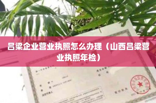 吕梁企业营业执照怎么办理（山西吕梁营业执照年检）