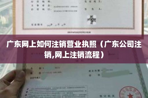 广东网上如何注销营业执照（广东公司注销,网上注销流程）