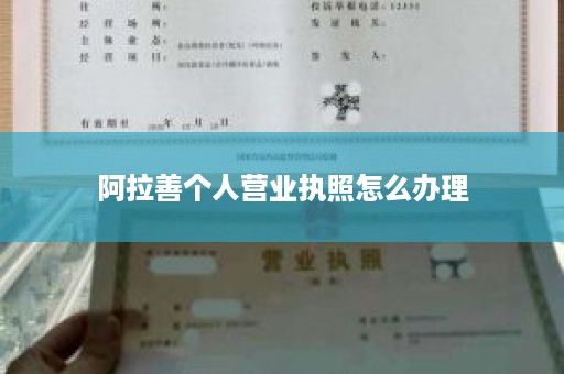 阿拉善个人营业执照怎么办理