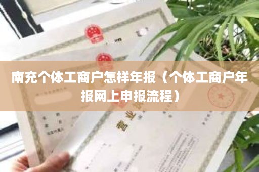 南充个体工商户怎样年报（个体工商户年报网上申报流程）