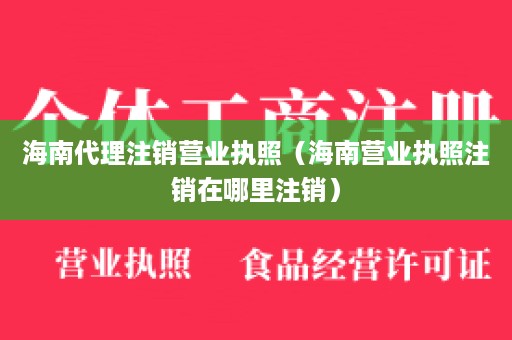 海南代理注销营业执照（海南营业执照注销在哪里注销）