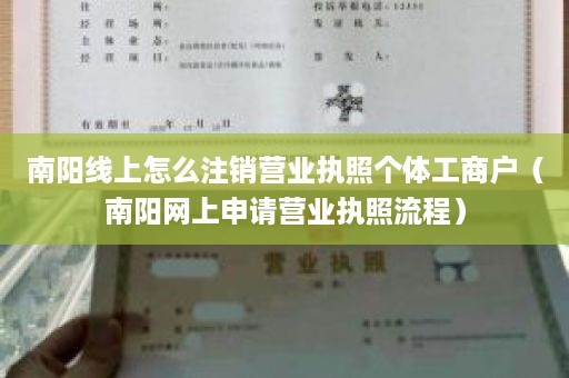 南阳线上怎么注销营业执照个体工商户（南阳网上申请营业执照流程）