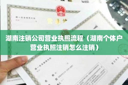 湖南注销公司营业执照流程（湖南个体户营业执照注销怎么注销）