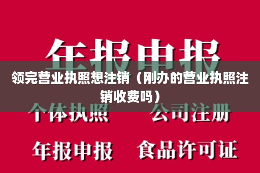 领完营业执照想注销（刚办的营业执照注销收费吗）