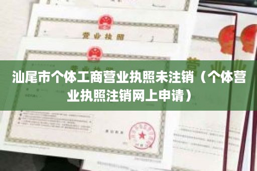 汕尾市个体工商营业执照未注销（个体营业执照注销网上申请）