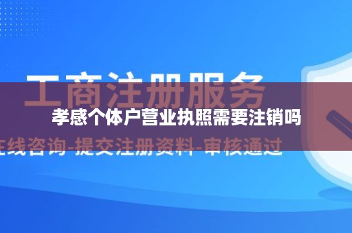 孝感个体户营业执照需要注销吗