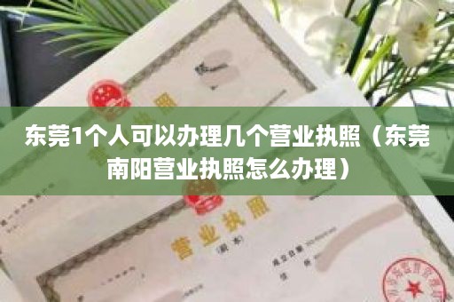 东莞1个人可以办理几个营业执照（东莞南阳营业执照怎么办理）