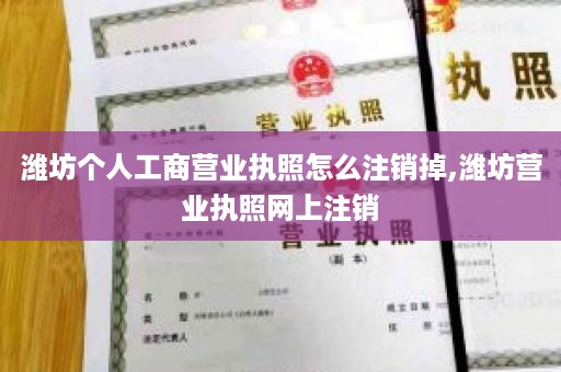 潍坊个人工商营业执照怎么注销掉,潍坊营业执照网上注销