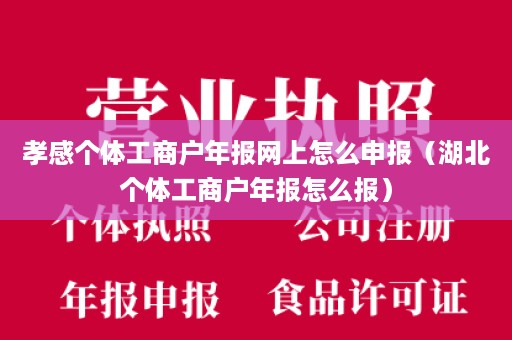 孝感个体工商户年报网上怎么申报（湖北个体工商户年报怎么报）