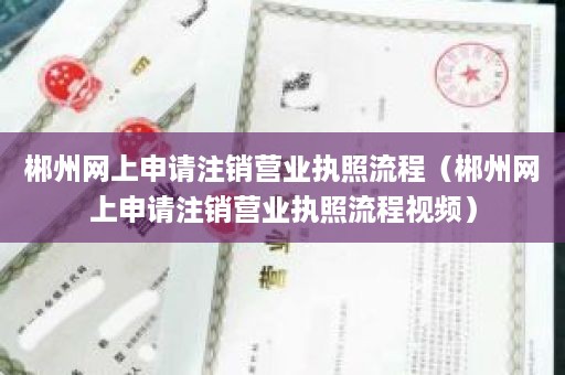 郴州网上申请注销营业执照流程（郴州网上申请注销营业执照流程视频）