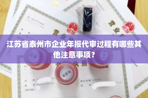 江苏省泰州市企业年报代审过程有哪些其他注意事项？