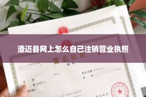 澄迈县网上怎么自己注销营业执照