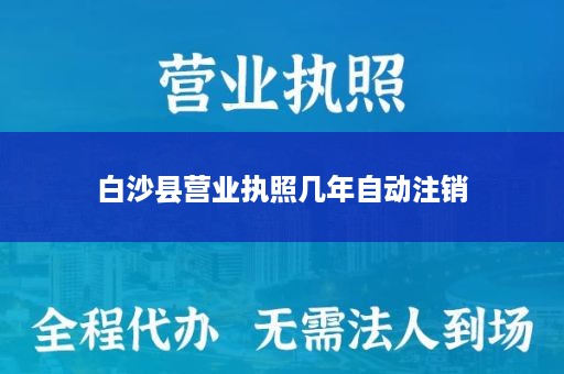 白沙县营业执照几年自动注销