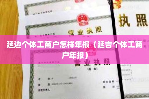 延边个体工商户怎样年报（延吉个体工商户年报）