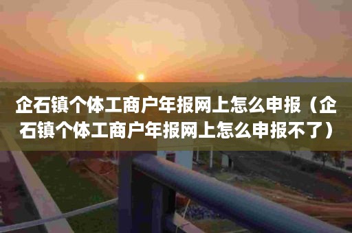 企石镇个体工商户年报网上怎么申报（企石镇个体工商户年报网上怎么申报不了）