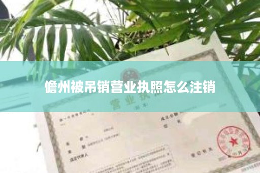 儋州被吊销营业执照怎么注销